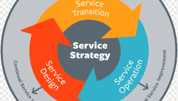 service-lifecycle-management